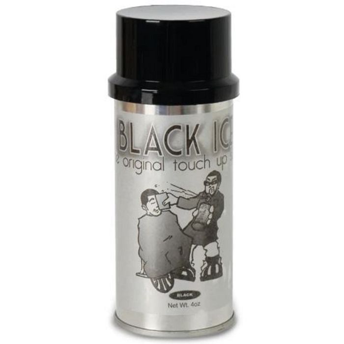 Black Ice Touch Up Hair Color Spray - Black 4 oz