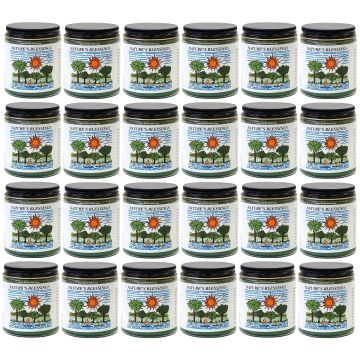 Nature's Blessings Hair Pomade 4 oz - 24 Pack