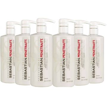 Sebastian Penetraitt Masque 16.9 oz [6 Pack]