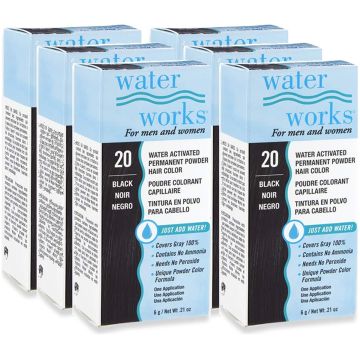 Water Works Permanent Powder Hair Color 0.21 oz - #20 Black [6 Pack]