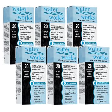 Water Works Permanent Powder Hair Color #20 Black 0.21 oz - 6 Pack