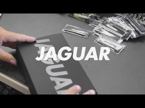 Jaguar White Line Silver Ice Shears - 7